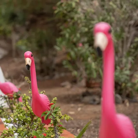 Apto Jardin Del Sol By Paramount Holidays * Puerto de Santiago (Tenerife)