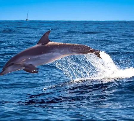 Apto Jardin Del Sol By Paramount Holidays