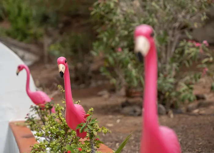 Jardin Del Sol-tranquilidad Junto Al Mar, Playa La Arena * Puerto de Santiago (Tenerife)